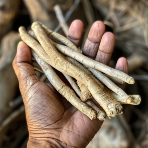 Food After Having a Lot of Sex or Masturbation for Men